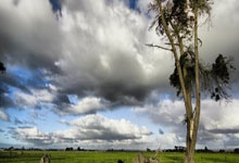 中国航空发动机简史——开启中国航空的喷气时代：涡喷5